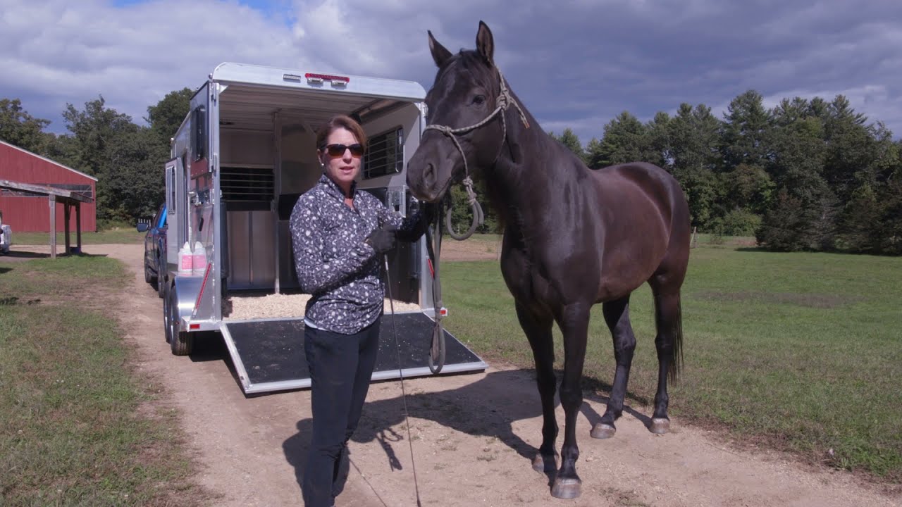 Best way to teach your Horse Trailer Loading