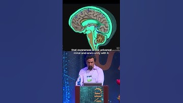 Functions of our cerebrospinal fluid - Mauro Zapaterra