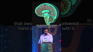 Functions of our cerebrospinal fluid - Mauro Zapaterra