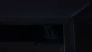 IMG ***6538 05:28 7 AUG 2026 05:37 AM BANNING MY CEILING IMG ***6538 05:28 7 AUG 2026 05:37 AM BANNING MY CEILING