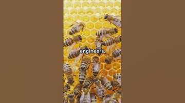 Why are hexagons nature