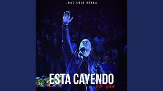 Video thumbnail of "José Luis Reyes - Esta Cayendo (En Vivo)"