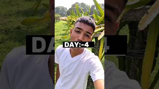 DAY:-4 time period of dragon fruit buds to harvest #dragofit