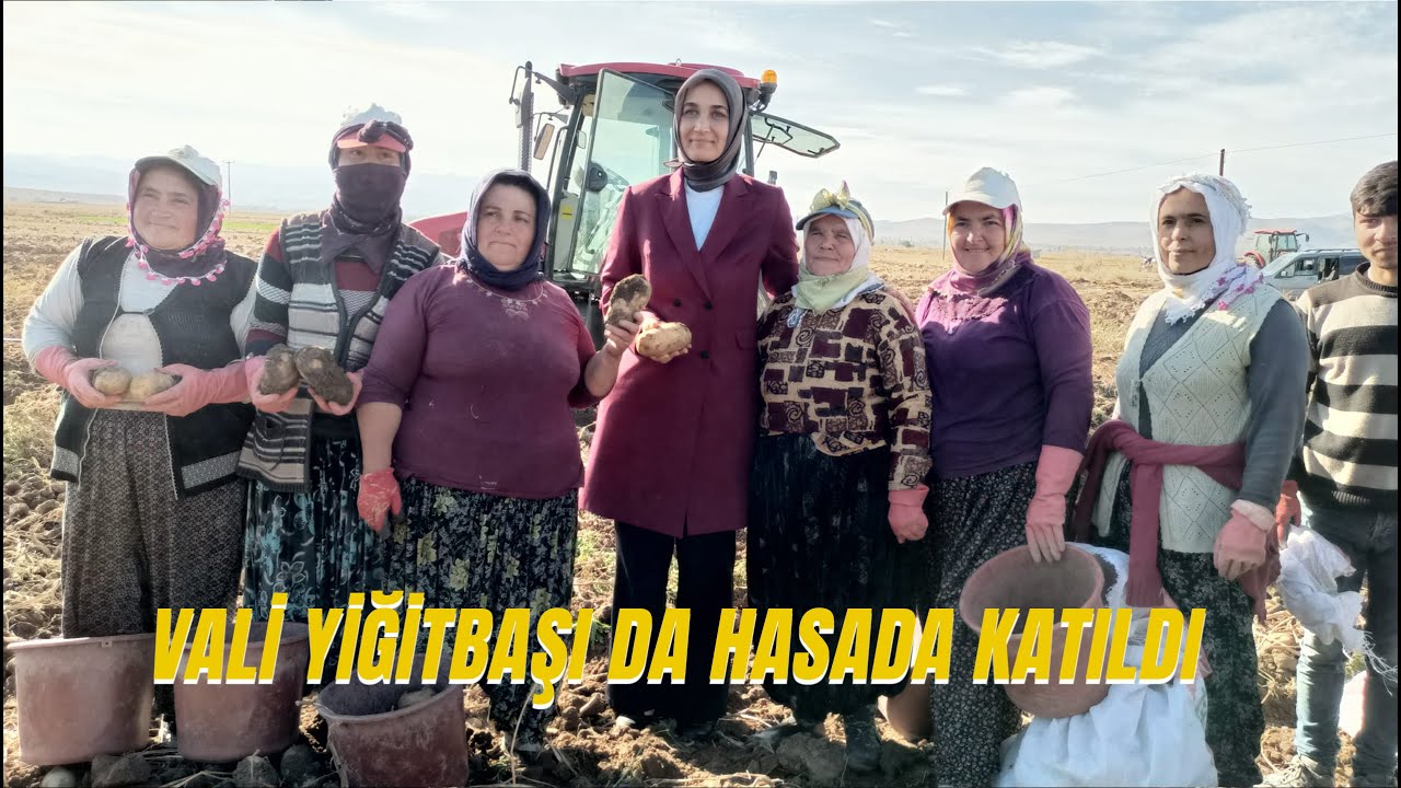 Dillere destan lezzet: Patates