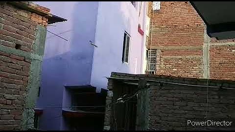 Successful landing of a squirrel from one building to other in slow motion ❤️❤️