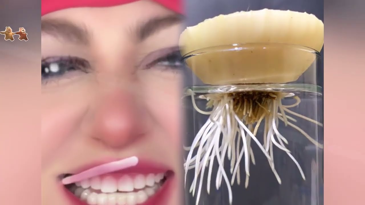 🤣👌👌👌2026 pov Must-Watch Crazy Clips Compilation #humor #fypシ #pov #fyp #foryou 😍😜