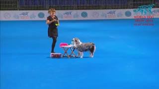 FCI Dog dance World Championship 2016 – Freestyle final  - Nina Roegner and Moster (Sweden) by Videos from Freestyle&HTM World Championship 2016 Moscow 129,389 views 7 years ago 4 minutes, 6 seconds