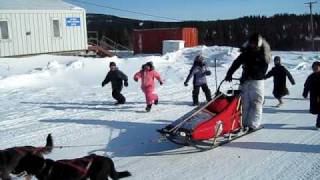 Celebrity 2010 Iditarod: Lance Mackey Arrives in Elim Net Worth