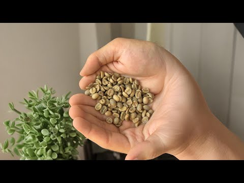 مالا تعرفه عن أغلى قهوة في مصر