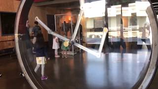 Exploratorium Pendulum in slow motion