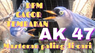 RPM GACOOR Tembakan AK 47,  Masteran yang paling di cari