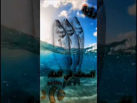 رؤية السمك في الماء