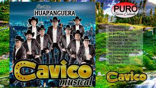 Cavico Musical 2021 -  Fiesta Huapanguera (Álbum)