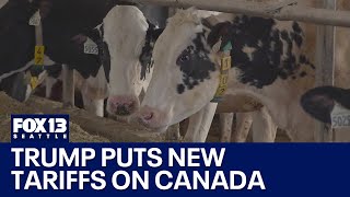 Trump puts new tariffs on Canadian dairy products | FOX 13 Seattle