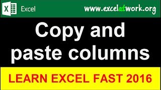 Copy and paste columns - Learn Excel Fast - Excel 2016