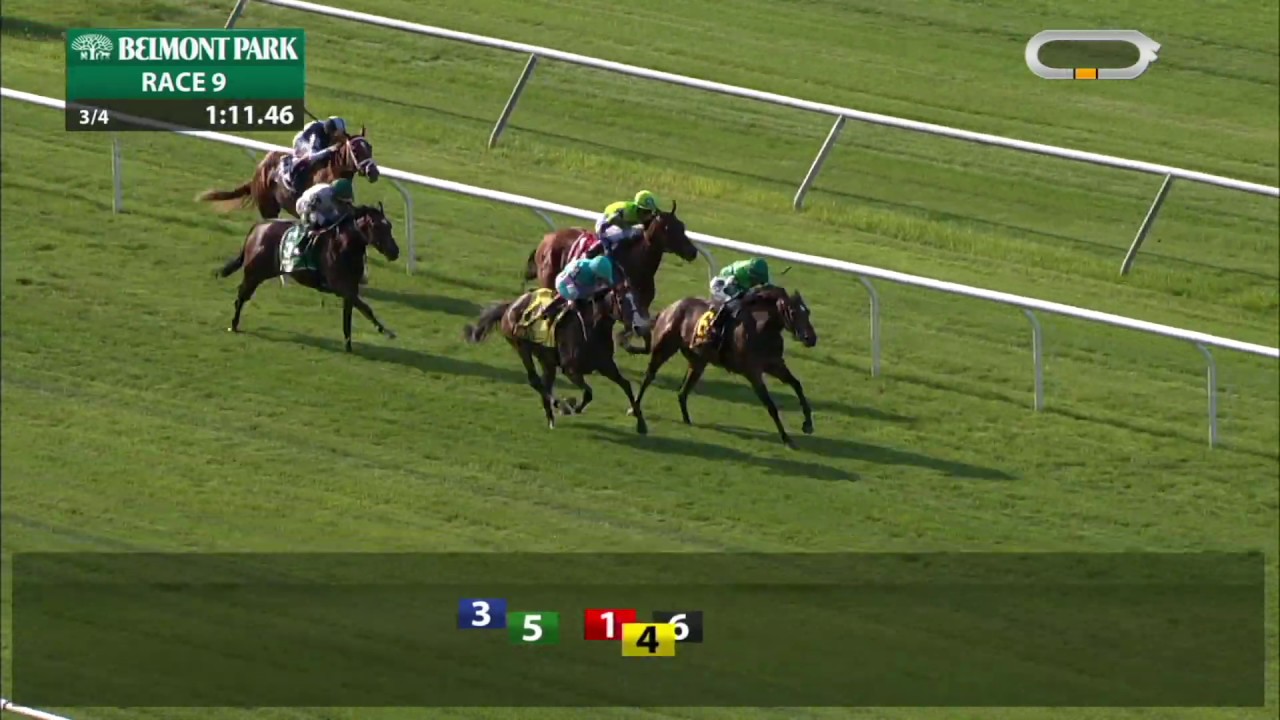 horse racing news Blowout - 2019 - The Wild Applause Stakes en Espanol