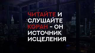 Сура 9 «ат-Тауба» (Покаяние) 1-114 Красивое чтение Корана [Махди аш-Шишани]