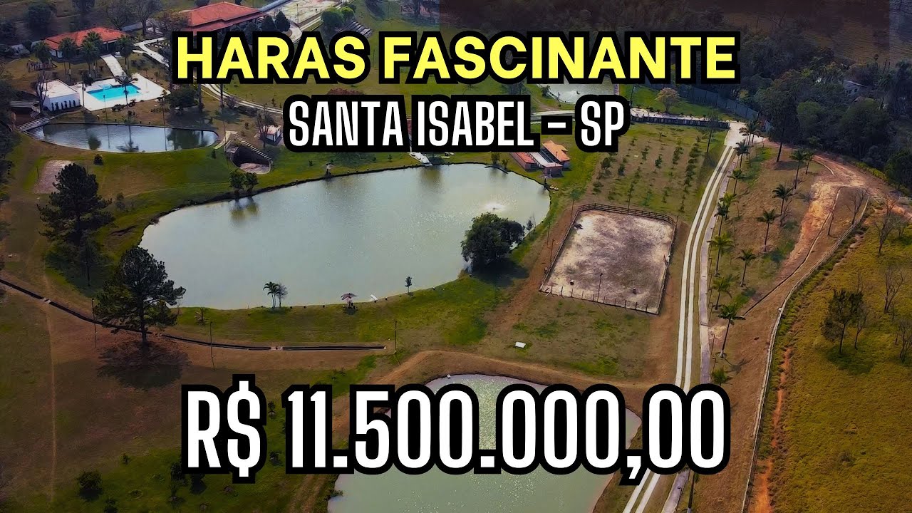 Haras cinematográfico em Santa Isabel - SP.