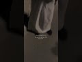 غرك زمانك 