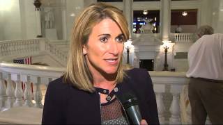 Opposing The Wolf Tax Plan