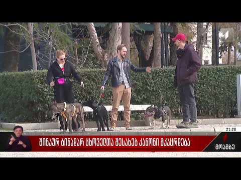 შინაურ ბინადარ ცხოველთა შესახებ კანონი მკაცრდება