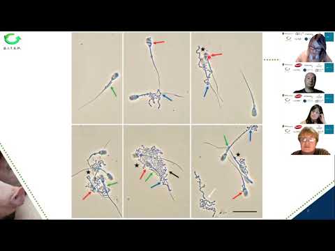 4to Webinar: Bioseguridad en granjas de Cerdos