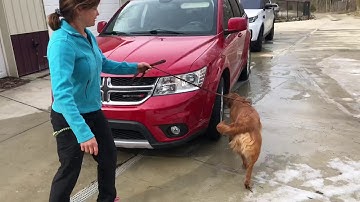 Roma vehicle search explosives detection - tug reward