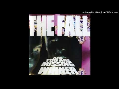 The Fall - Ibis-Afro Man