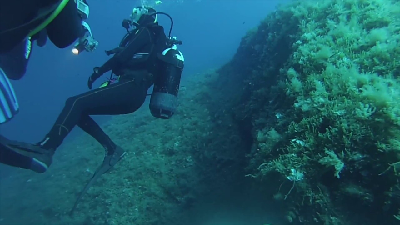 DIVING | Sott'acqua a Portofino - YouTube