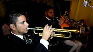 Mariachi para la Virgen de la Soledad