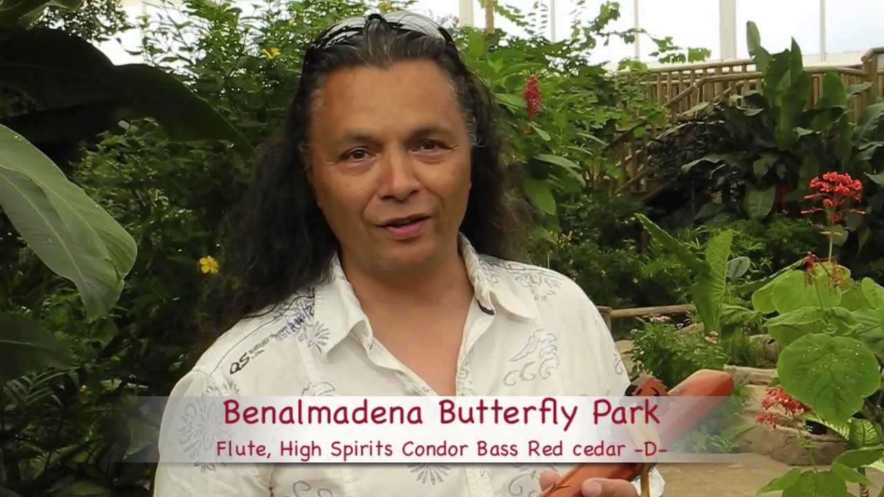 Michael Telapary plays a High Spirits Condor Bass surrounded by butterflies
