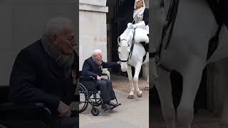 🧠🐴 A Guard Horse That Felt Human Emotions #shorts #horse #emotional