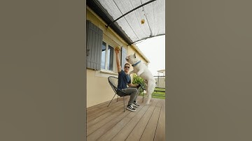 Reolink Argus 4 Pro Keeps an Eye on Your Furry Friends