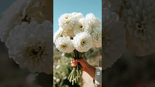 Grow These 5 Zinnias for $200 Wedding Bouquets! 💐