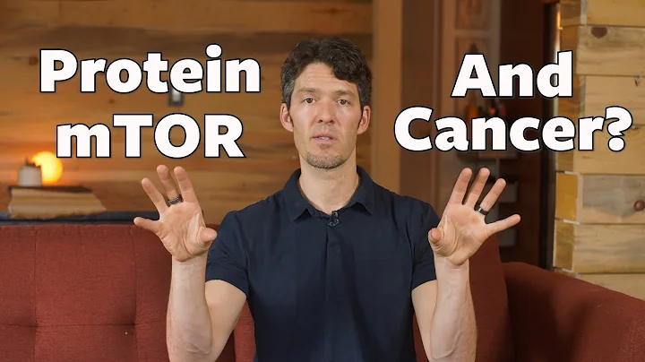 mTOR, Protein  & Cancer: new science MIT's David S...