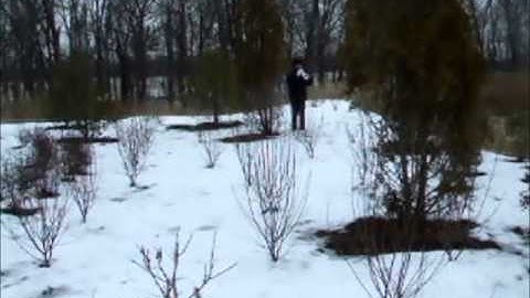 In Memory Of Robert L. Edge, Sr