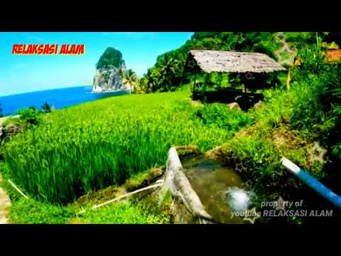 Sarana Relaksasi Gemercik Air Serta Pemandangan Alam Persawahan Pinggir Pantai Pacitan Sarana Relaksasi Gemercik Air Serta Pemandangan Alam Persawahan Pinggir Pantai Pacitan