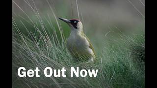 Get Out Now. Now is the time to begin your nature project.