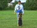 Schutzhund with Gottfried Dildei- Advanced Obedience Schutzhund with Gottfried Dildei- Advanced Obedience