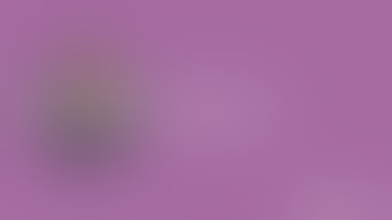 Intellijoint KNEE Smart Navigation Delivers Real time Measurements for Primary TKA