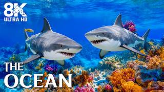 Deep Ocean Aquarium 8K ULTRA HD 🌊 | Explore Vibrant Fish & Stunning Coral Reefs