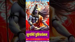 बस एक बार सुन लो 🙏 महा मृत्युंजय मंत्र