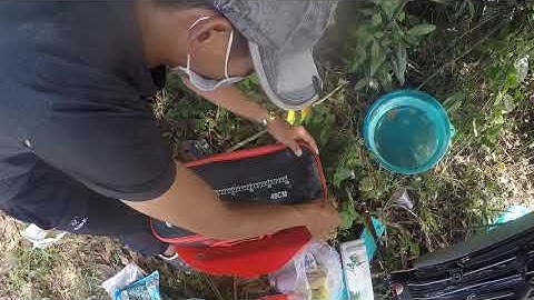 Câu Cá  Đập Ngũ Phúc - Đồng Nai , . ........ Xệ Nách với mấy anh cá mè ......