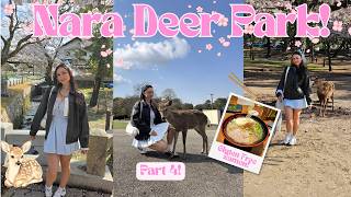 OSAKA JAPAN VLOG: Nara Deer Park & Gluten Free Ramen! (Part 4)