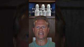 The Power of Sunflower Lecithin
