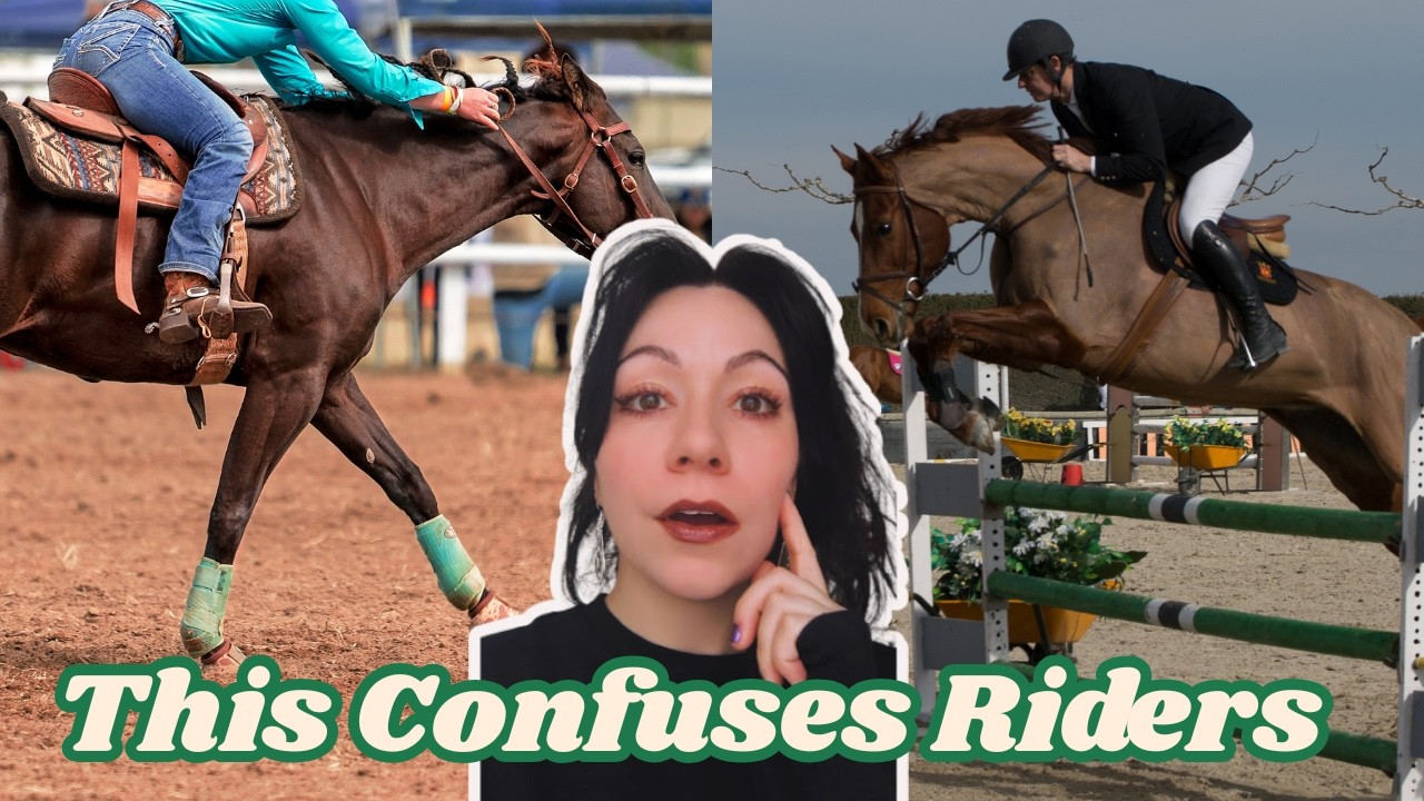 Not All Horse Shows Are the Same(And Most People Don't Realize It)