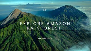 "Exploring the Breathtaking Beauty of the Amazon Rainforest | Wildlife, Ecosystems, and Adventure"