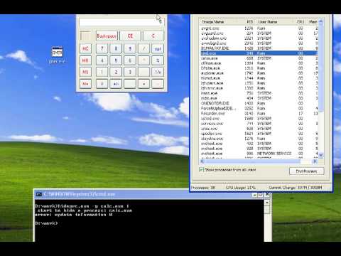 securitybot [dot] org hide process