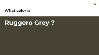 Ruggero Grey color #484435 hex color - Brown color - Cool color 484435