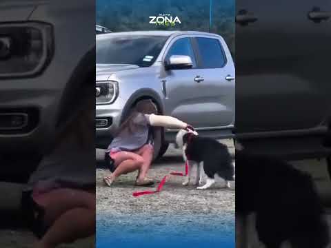🚁❤️ Reencuentro emotivo tras caída en cascada de Nueva Zelanda